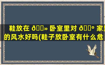 鞋放在 🌻 卧室里对 🌺 家里的风水好吗(鞋子放卧室有什么危害)